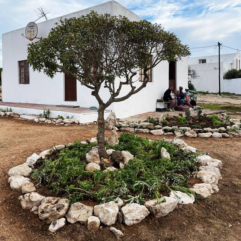 Tanie&nbsp;Loes&rsquo;s&nbsp;Garden