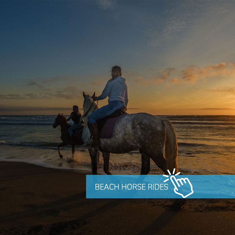 Beach Horse Rides