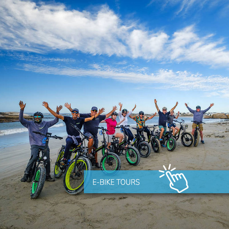 WOW eBikes Paternoster