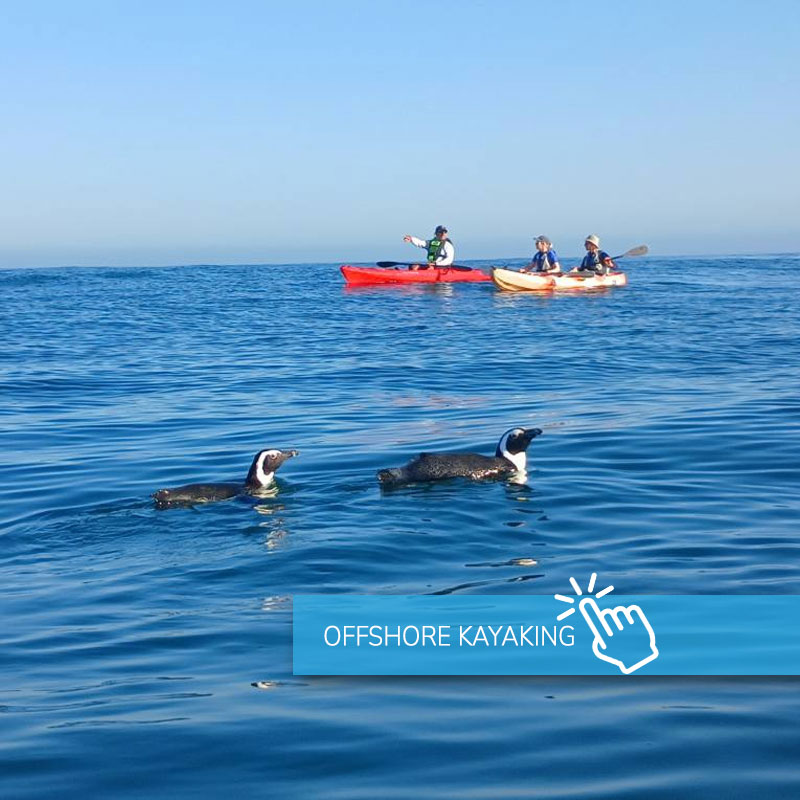 Kayak Paternoster