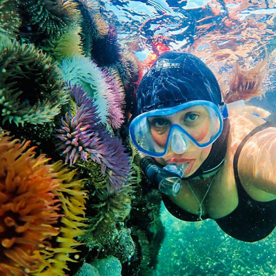 paternoster-snorking Snorkeling Free Diving
