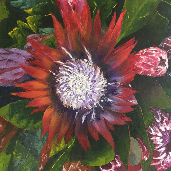 proteas proteas Unique Shops in Paternoster | Local Crafts, Art & Gifts