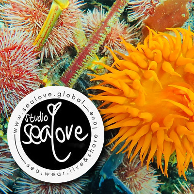 sea-love sea-love Unique Shops in Paternoster | Local Crafts, Art & Gifts