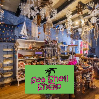 shellshop shellshop Unique Shops in Paternoster | Local Crafts, Art & Gifts